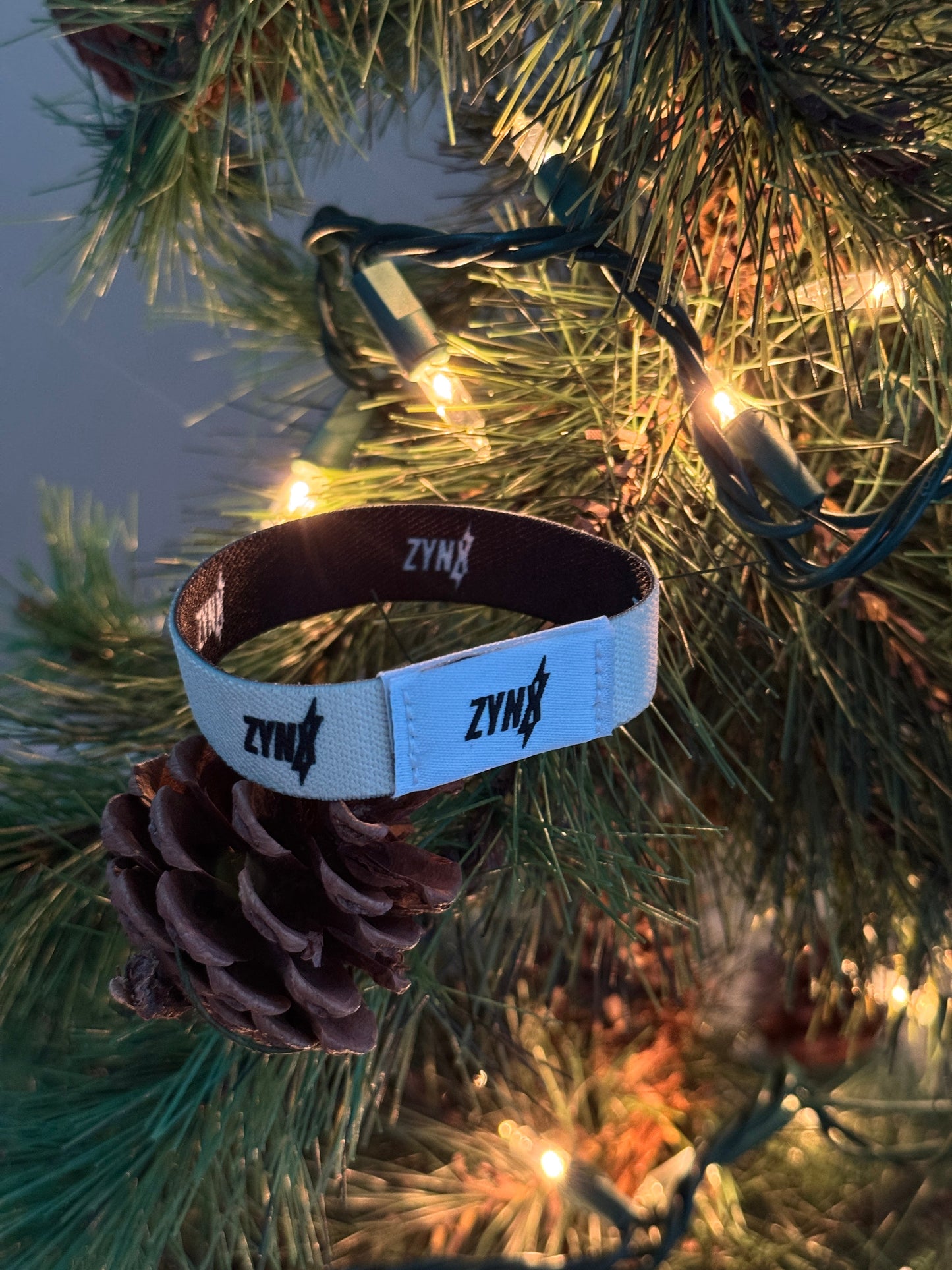 NFC Wristband